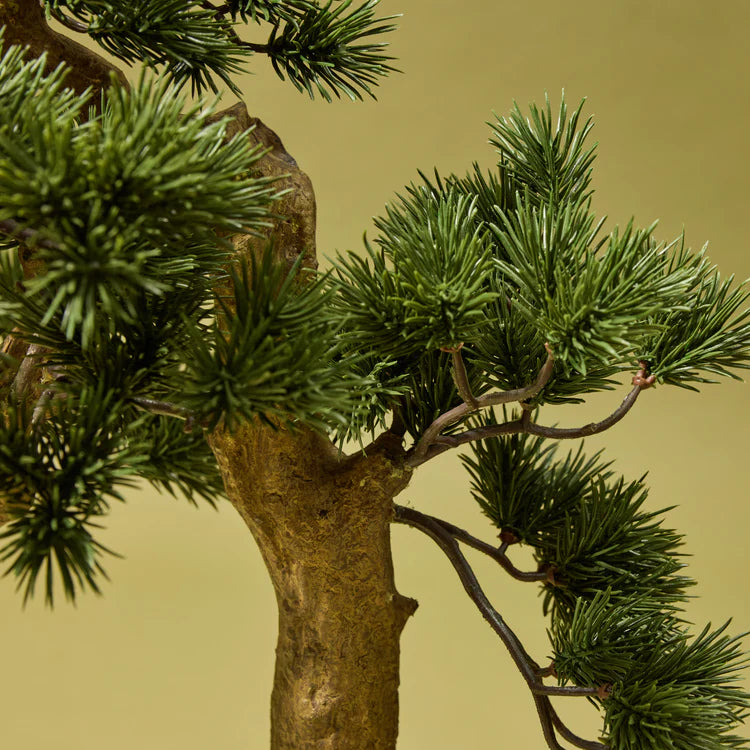 Faux Pine Bonsai Tree - Garden Pot | 55cm