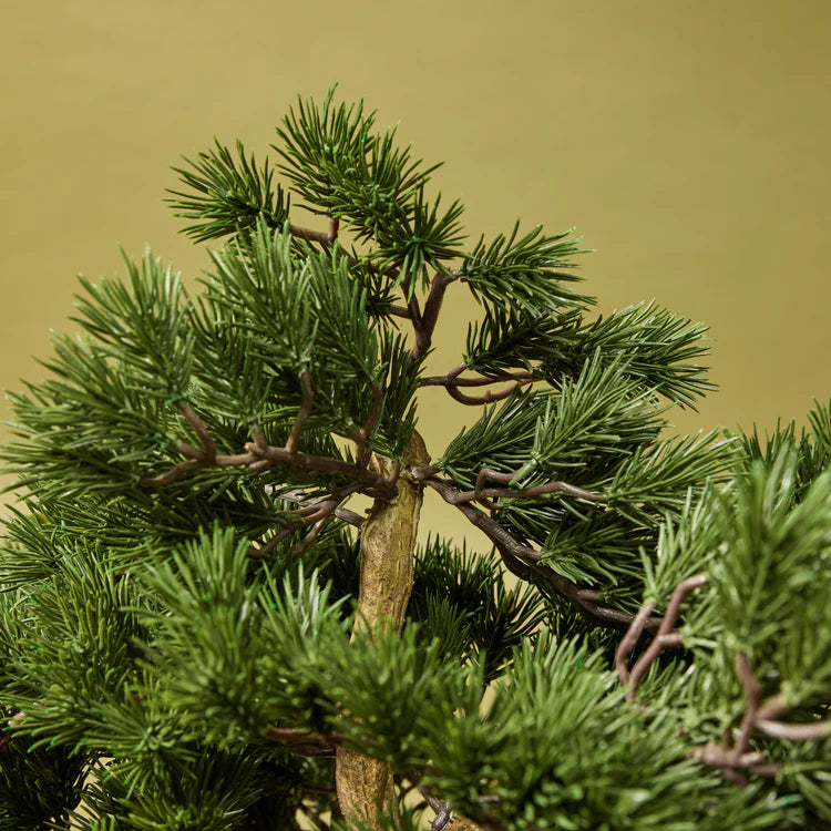 Faux Pine Bonsai Tree - Garden Pot | 100cm