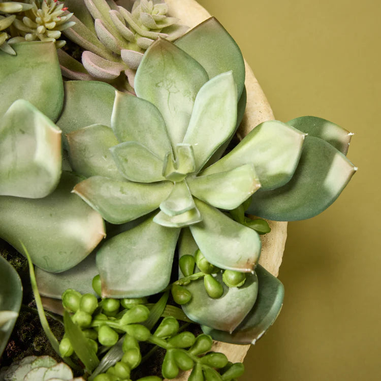 Faux Succulent Garden - Textured Cement Pot | 37cm