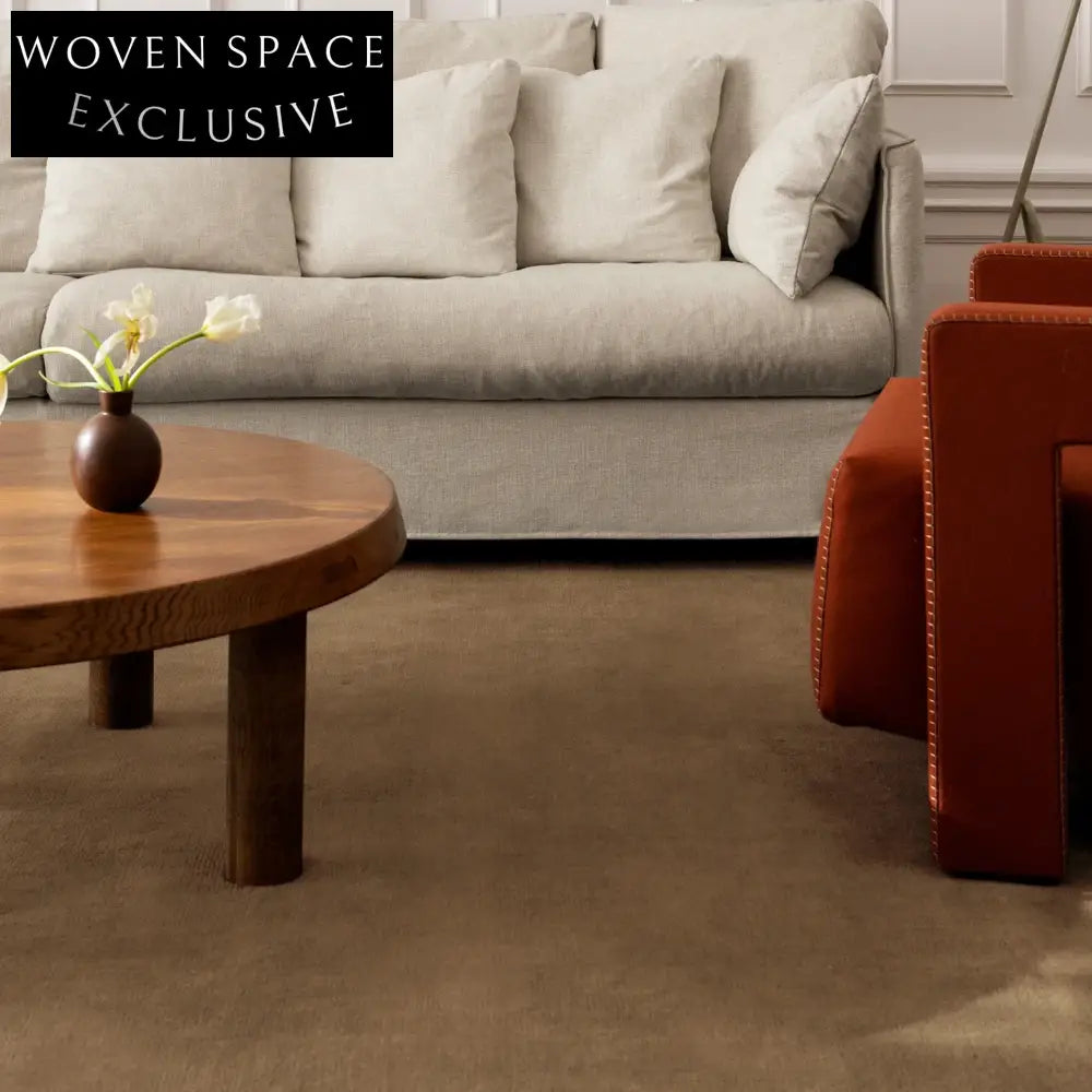 Luxury Modern Minimalist Vintage Polyester Area Rug for Elegant Home Living