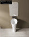 Luxury Modern Round Freestanding Ceramic Pedestal Sink with Elegant Gold Accents