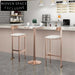 Luxury Nordic Design Modern Metal Leather Bar Stool with Back Support