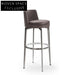 Modern Luxury Faux Leather Bar Stool with Stainless Steel Frame, Counter Height