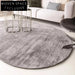 Modern Minimalist Oval Polyester Fiber Plush Living Room Area Rug