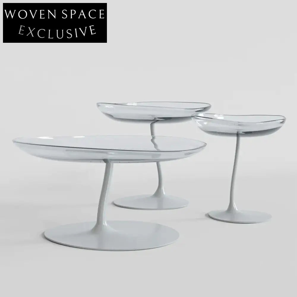 Modern Nordic Clear Acrylic Glass Coffee Table for Hotel Home & Garden