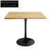Modern Nordic Square Solid Wood Dining Table with Fiberglass Base