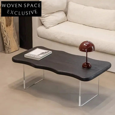 Modern Scandinavian Black Wood Acrylic Rectangle Living Room Coffee Table