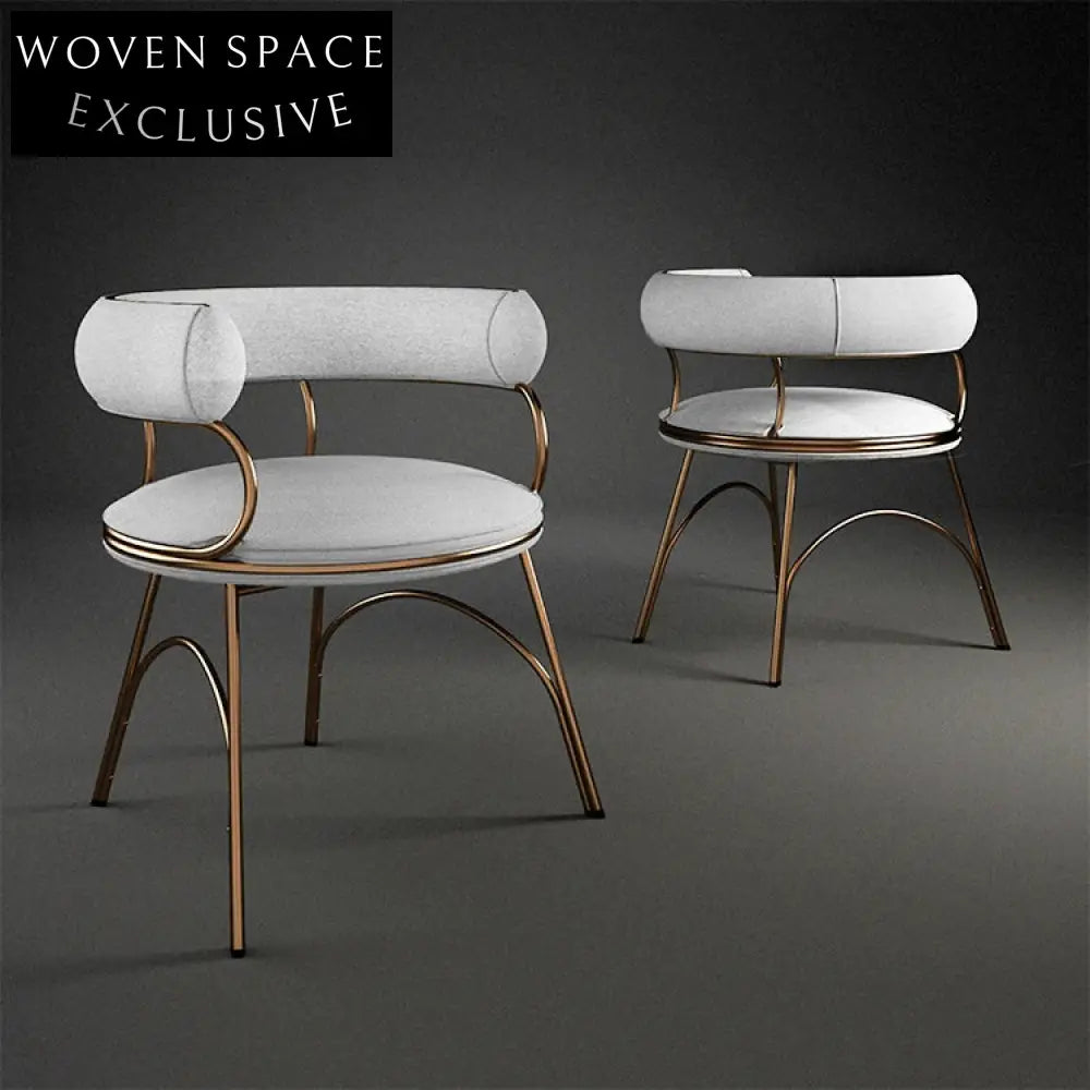 Modern Stainless Steel Fabric Leisure Chair for Dining, Elegant Metal Legs