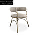 Modern Stainless Steel Fabric Leisure Chair for Dining, Elegant Metal Legs