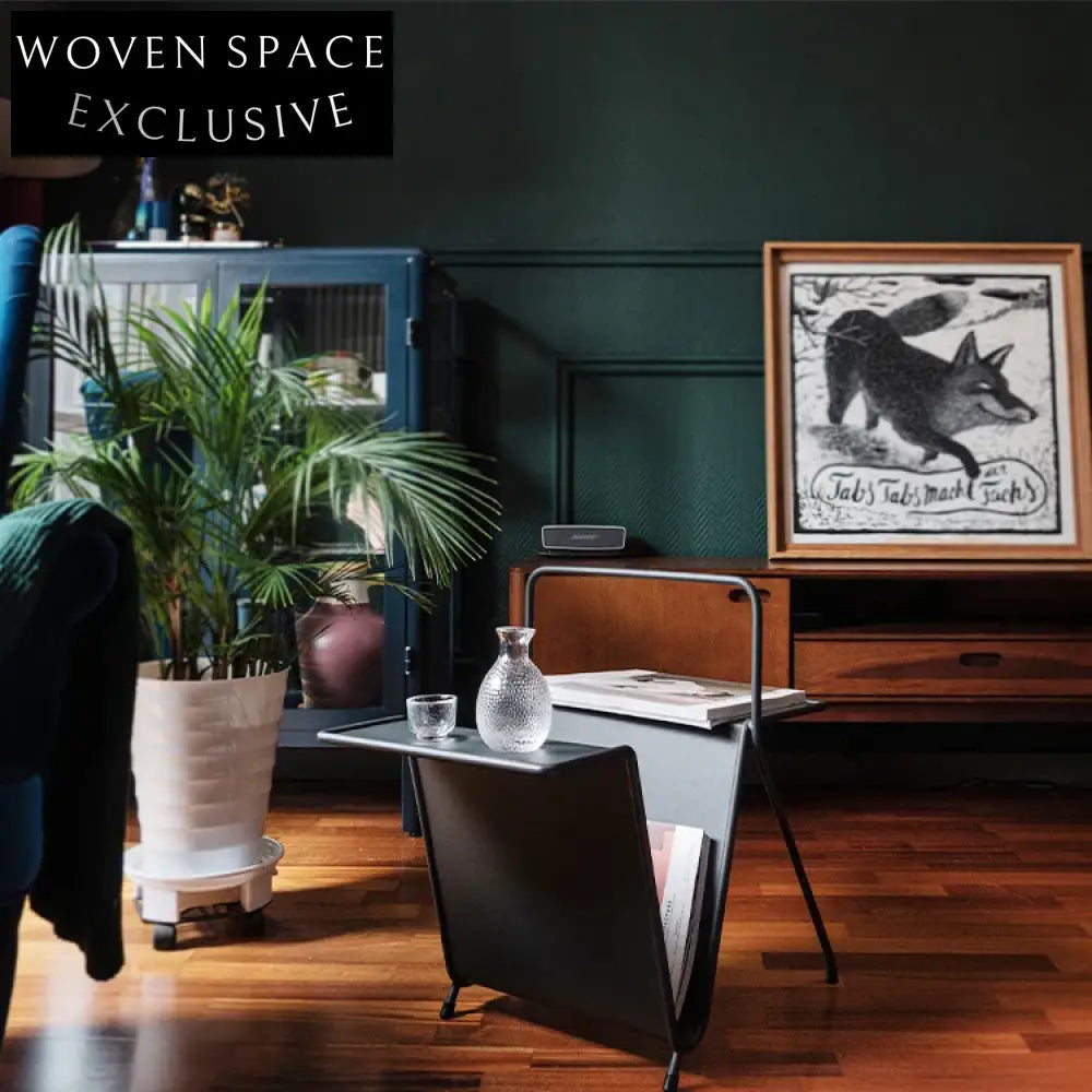 Modern V-Shape Metal Book Storage, Living Room Accent Table