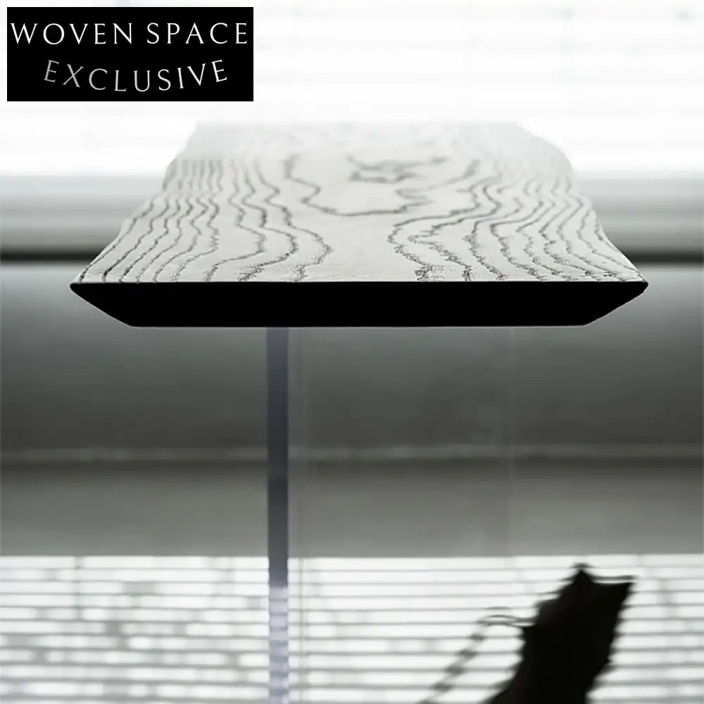 Modern Wabi-Sabi Black Wood Acrylic Hallway Living Room Console Table