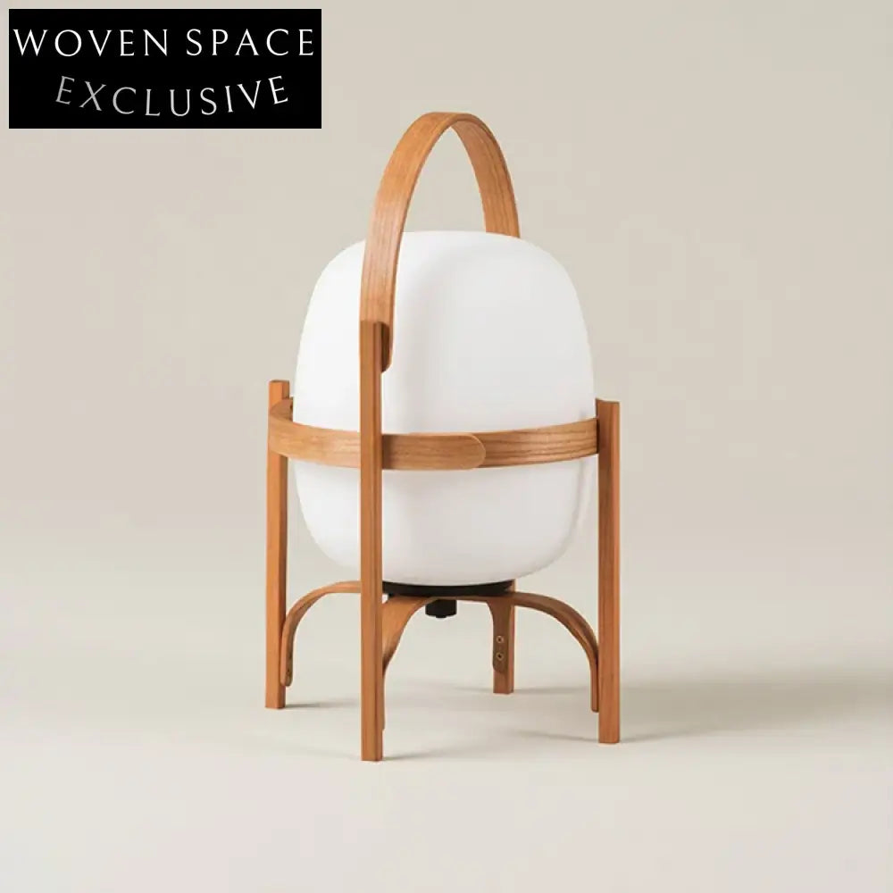 Nordic Wood Frame Egg Shape Desk Lamp for Living Room Decor