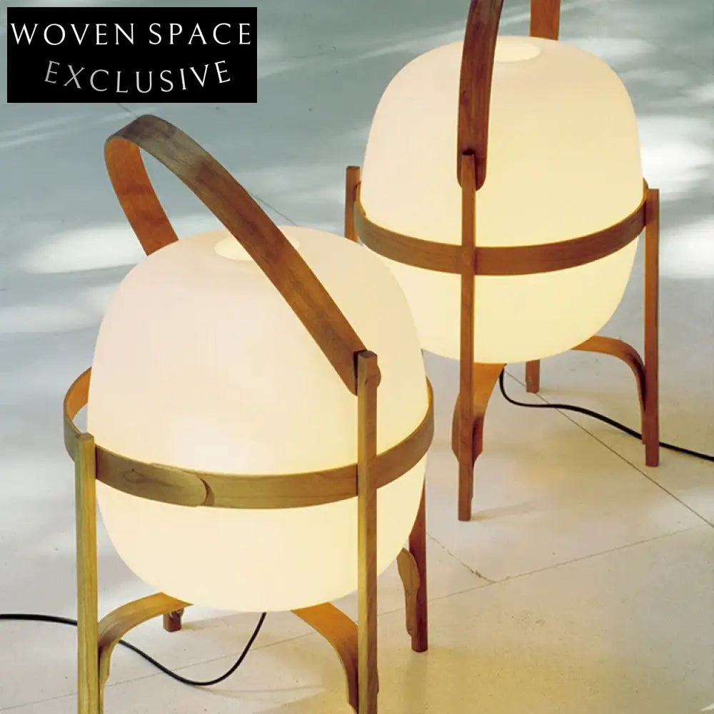 Nordic Wood Frame Egg Shape Desk Lamp for Living Room Decor