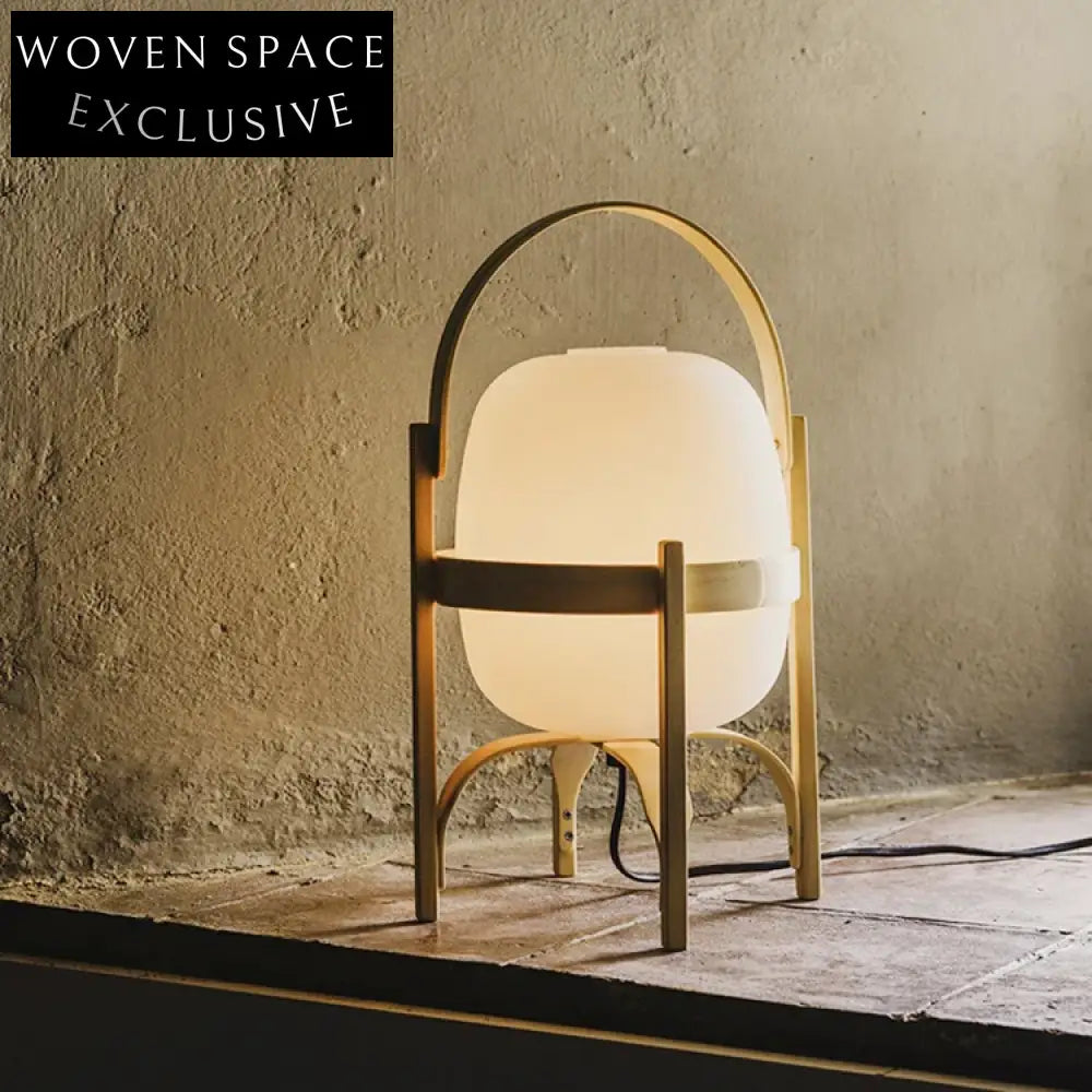 Nordic Wood Frame Egg Shape Desk Lamp for Living Room Decor