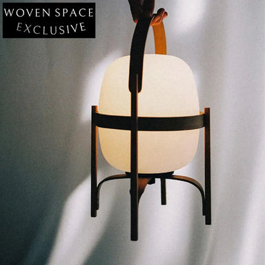 Nordic Wood Frame Egg Shape Desk Lamp for Living Room Decor