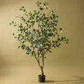 Faux Eucalyptus Silver Dollar Tree | 180cm