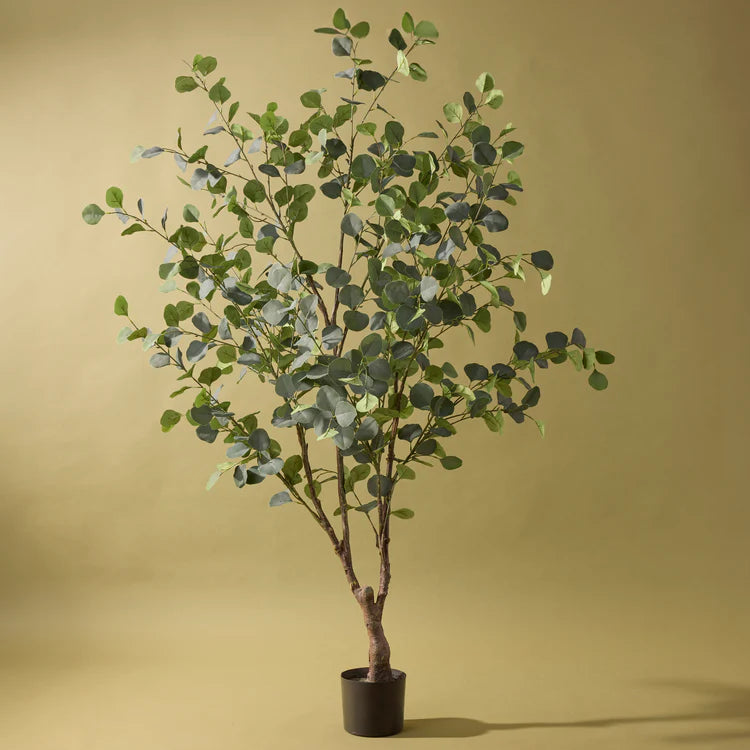 Faux Eucalyptus Silver Dollar Tree | 180cm