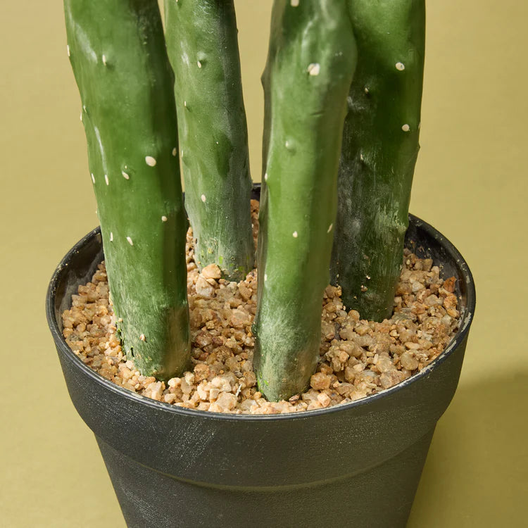 Faux Pear Cactus - Garden Pot | 64cm