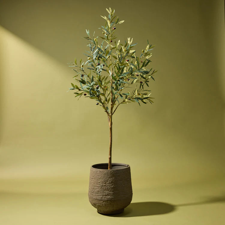 Faux Olive Tree - Trillium Planter | 164cm