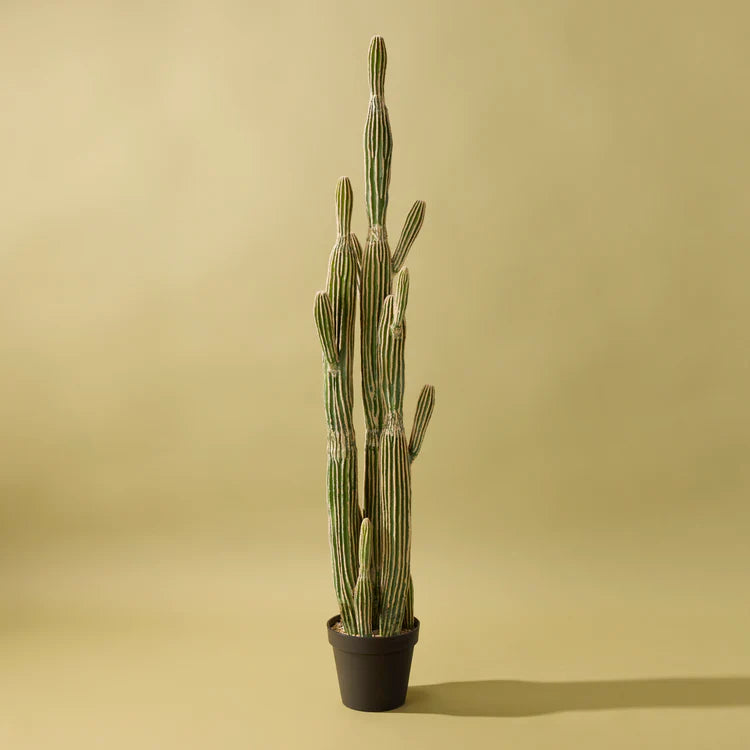 Faux Saguaro Cactus | 152cm