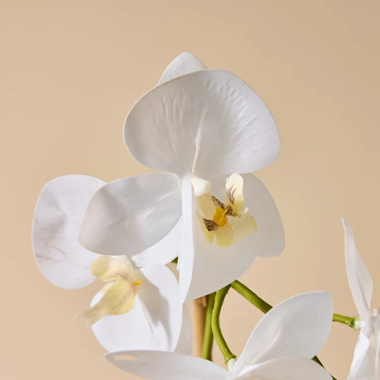 Faux Butterfly Orchid - Smooth Pot | 45cm