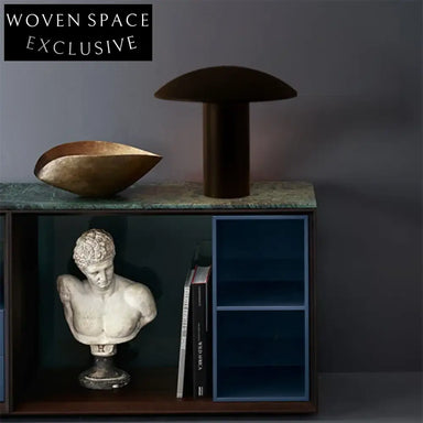 Stylish Modern Mushroom Black Metal Frame Round Shade Accent Table Lamp