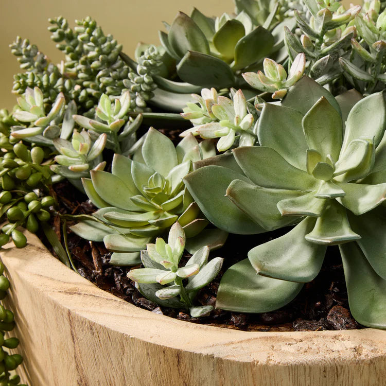 Faux Succulent Garden - Dansk Bowl | 45cm