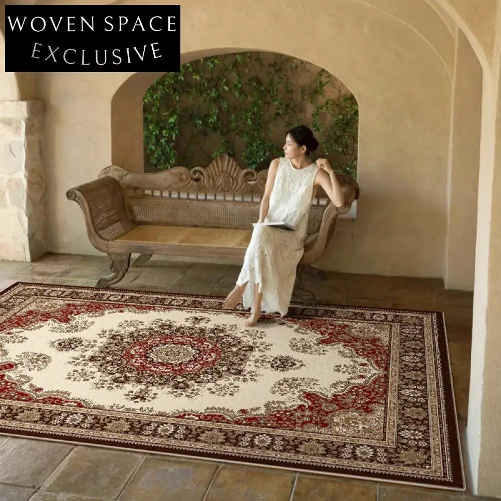 Thick Modern Living Room Area Rug Anti-Slip Custom Floor Carpet