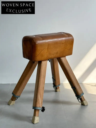 Vintage Dutch Vaulting Horse: 1960s by Dutch Designer