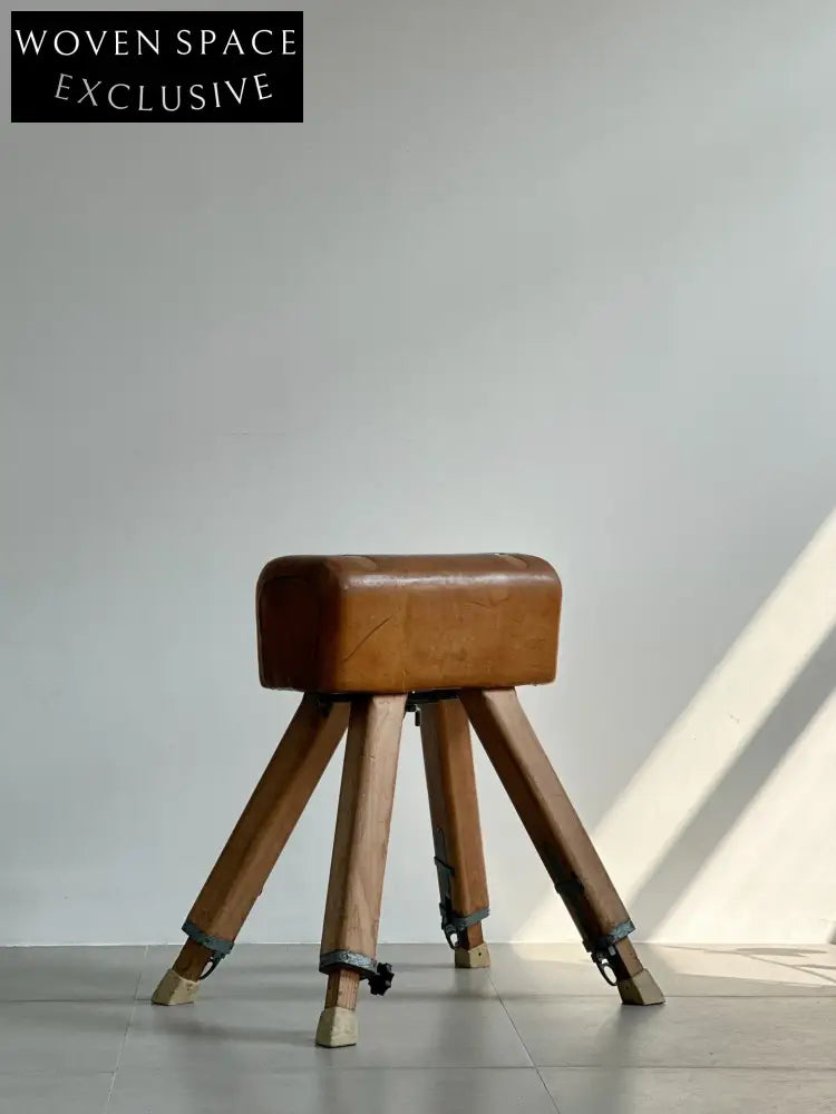 Vintage Dutch Vaulting Horse: 1960s by Dutch Designer