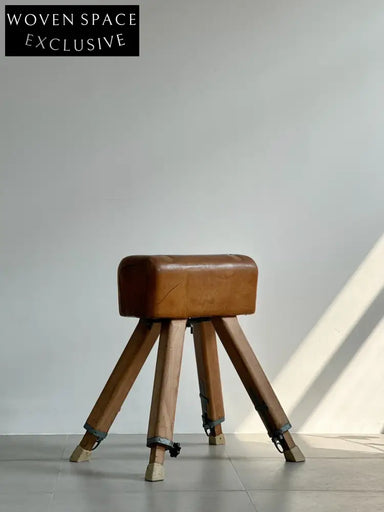 Vintage Dutch Vaulting Horse: 1960s by Dutch Designer