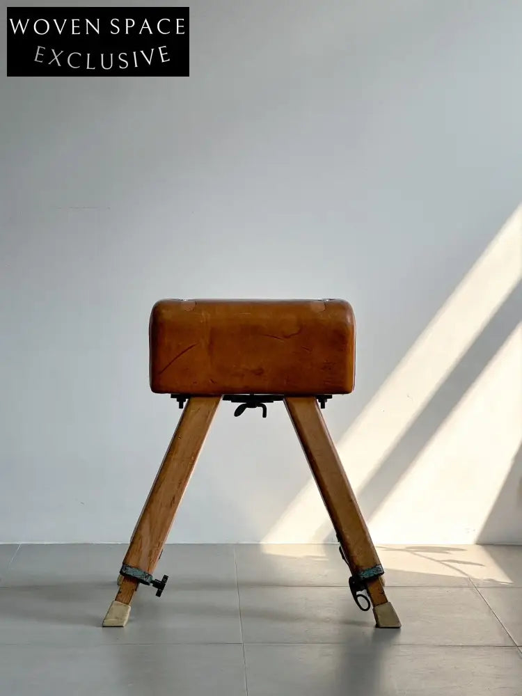 Vintage Dutch Vaulting Horse: 1960s by Dutch Designer