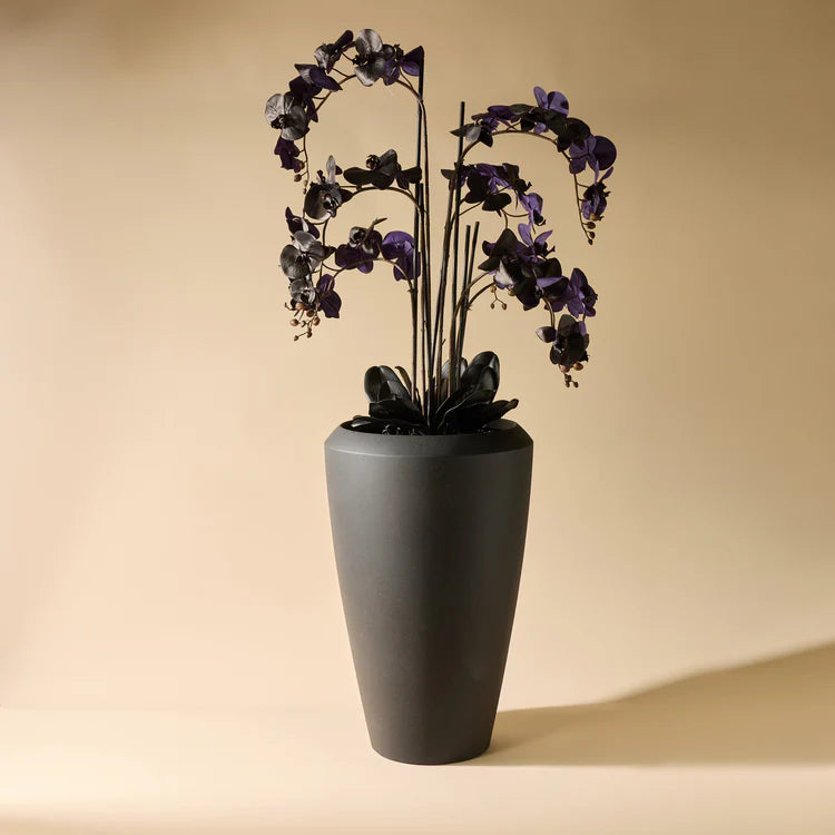 Faux Phalaenopsis Orchid - Vienna Tall Planter | Black - 157cm