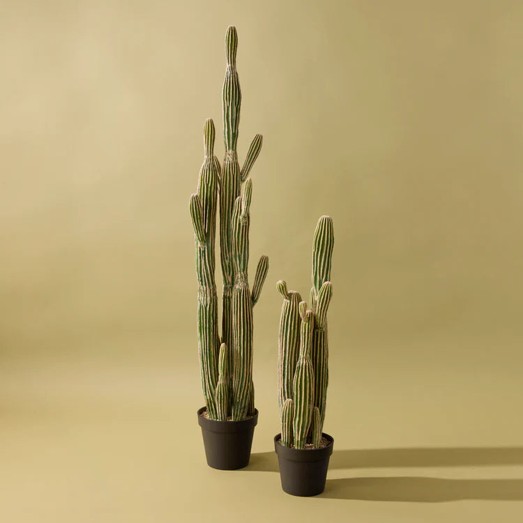 Faux Saguaro Cactus | 91cm