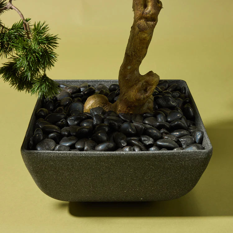 Faux Pine Bonsai Tree - Oslo Pot | Black - 100cm