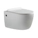 ALEXANDER-R SERIES WALL HUNG