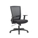Benson Mesh Ergonomic Office Chair - Black