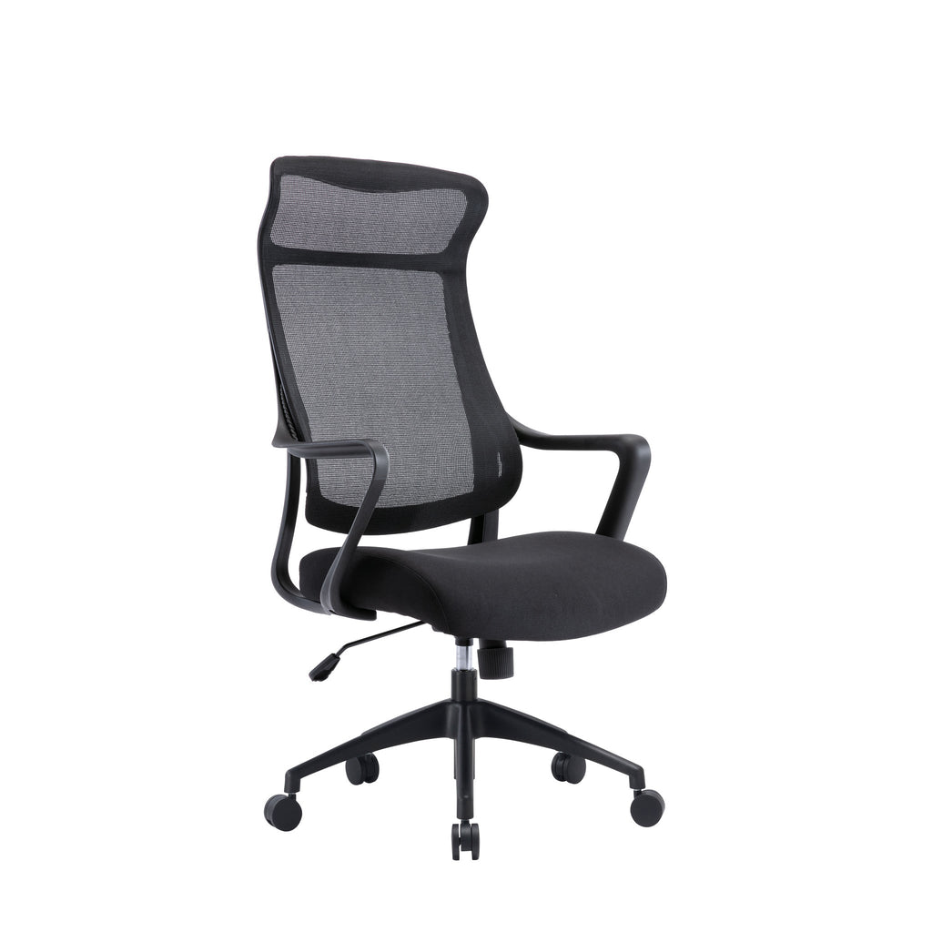 Daisee Mesh Ergonomic Office Chair - Black