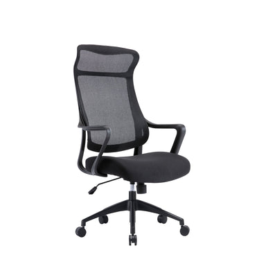 Daisee Mesh Ergonomic Office Chair - Black