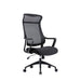 Daisee Mesh Ergonomic Office Chair - Black