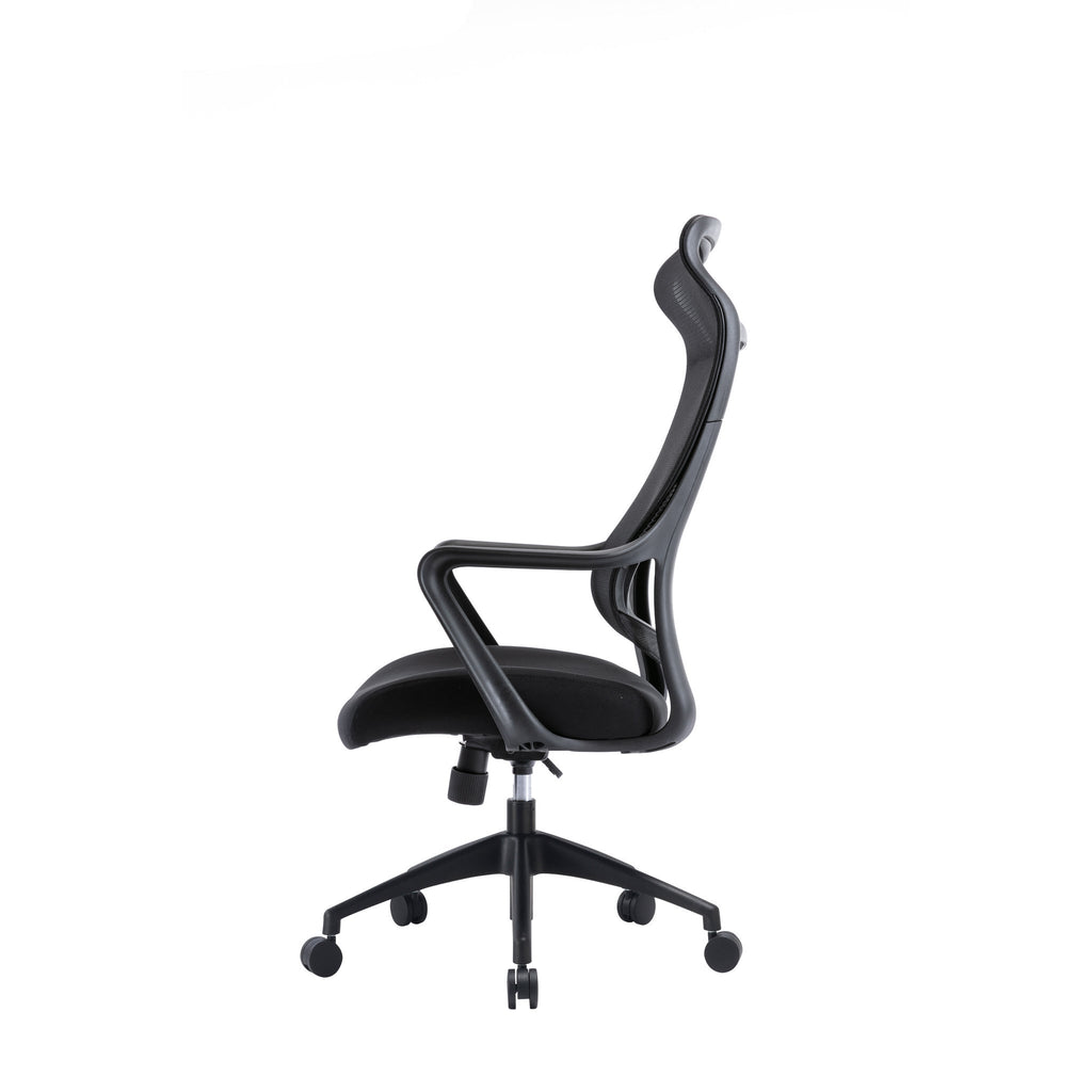 Daisee Mesh Ergonomic Office Chair - Black