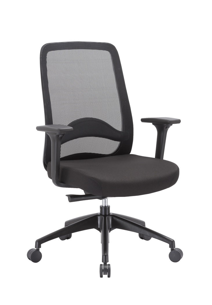 Sandle Mesh Ergonomic Office Chair - Black